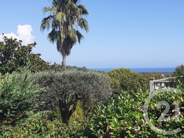 maison à vendre - 6 pièces - 271.0 m2 - BIOT - 06 - PROVENCE-ALPES-COTE-D-AZUR - Century 21 Visa Immobilier