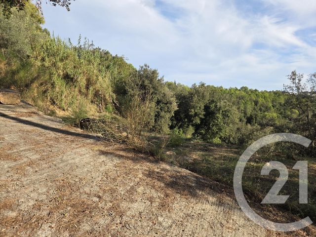 terrain à vendre - 2999.0 m2 - BIOT - 06 - PROVENCE-ALPES-COTE-D-AZUR - Century 21 Visa Immobilier