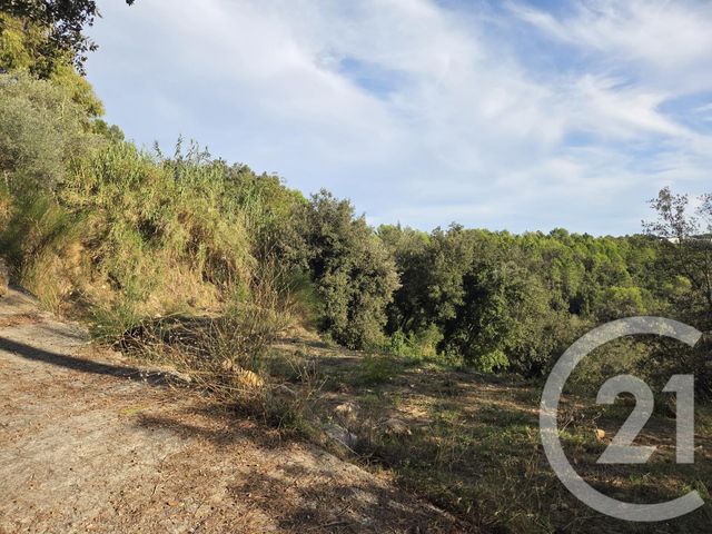 terrain à vendre - 2999.0 m2 - BIOT - 06 - PROVENCE-ALPES-COTE-D-AZUR - Century 21 Visa Immobilier