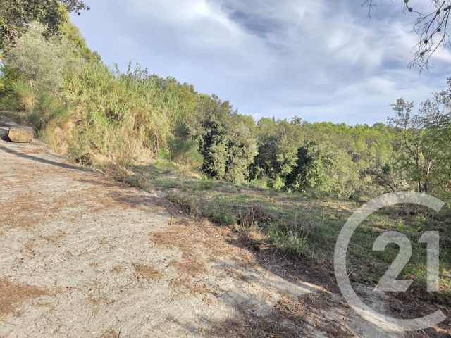 terrain à vendre - 2999.0 m2 - BIOT - 06 - PROVENCE-ALPES-COTE-D-AZUR - Century 21 Visa Immobilier