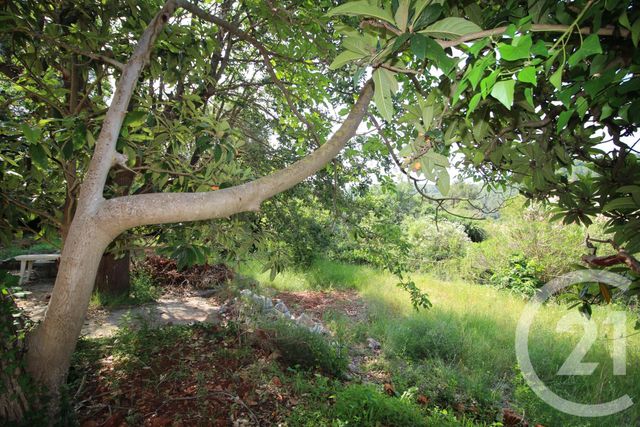 maison à vendre - 6 pièces - 205.0 m2 - BIOT - 06 - PROVENCE-ALPES-COTE-D-AZUR - Century 21 Visa Immobilier